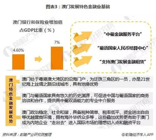 2024年新澳门今晚开奖结果查询|深度分析解释落实_WP.9.381
